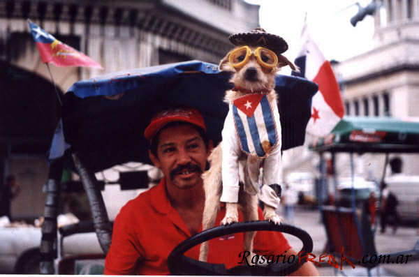 perrito-cubano.jpg